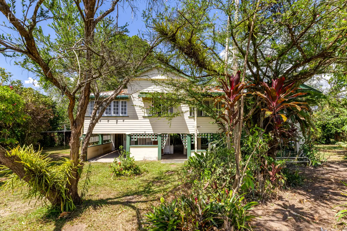 Main view of Homely house listing, 4 Dan Hart Lane, Mossman QLD 4873