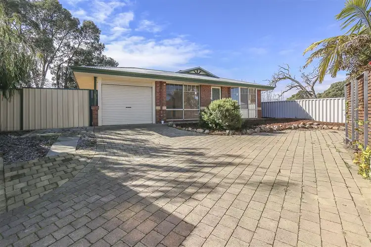 Main view of Homely house listing, 64B Chadwick Street, Hilton WA 6163