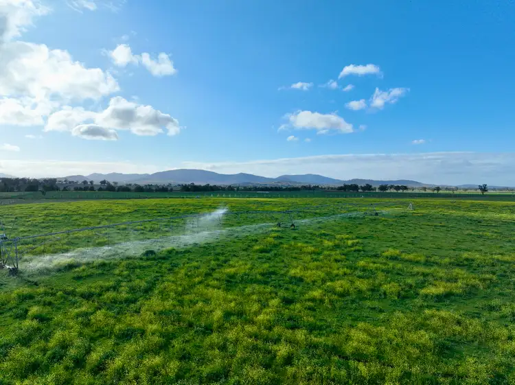 Sixth view of Homely rural property listing, "Wilson" Dartbrook Road, Aberdeen NSW 2336