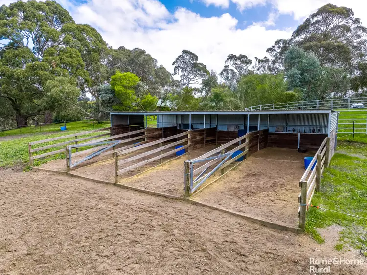 Fourth view of Homely rural property listing, 329A Shadygrove Road, Paris Creek SA 5201