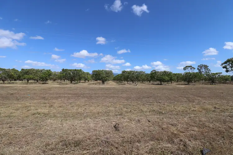 Main view of Homely rural property listing, 42 Bartlett Road, Horseshoe Lagoon QLD 4809