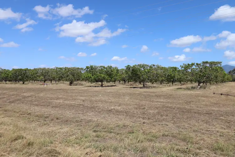 Second view of Homely rural property listing, 42 Bartlett Road, Horseshoe Lagoon QLD 4809