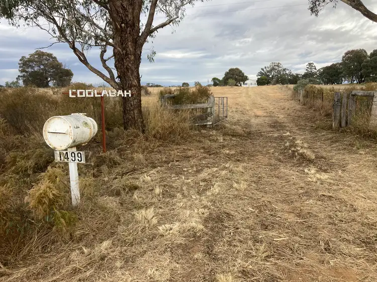 "Coolabah" 1499 Brooks Road, Binnaway NSW 2395