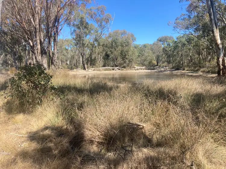 Fourth view of Homely rural property listing, "Coolabah" 1499 Brooks Road, Binnaway NSW 2395
