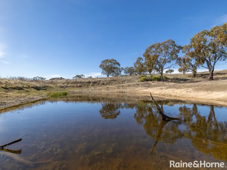 Fifth view of Homely rural property listing, 1291 Ophir Road, Rock Forest NSW 2795