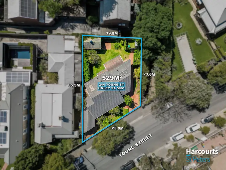 244 Young Street, Unley SA 5061