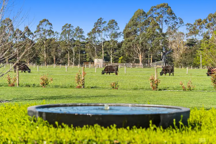 Sixth view of Homely rural property listing, 105 Glengarry West Road, Tyers VIC 3844