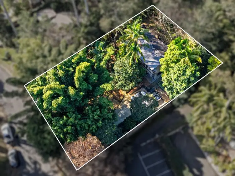 Main view of Homely house listing, 29 Forsythia Drive, Tamborine Mountain QLD 4272