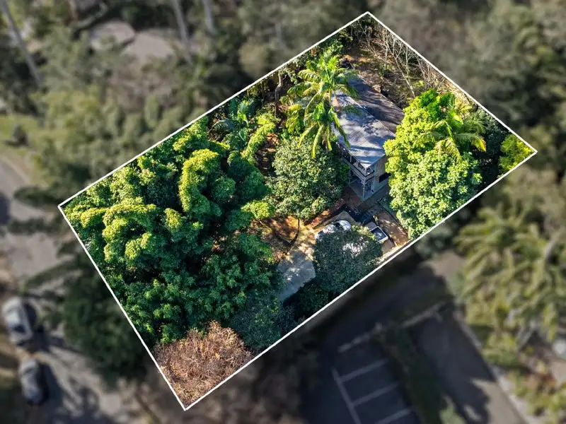 Main view of Homely house listing, 29 Forsythia Drive, Tamborine Mountain QLD 4272