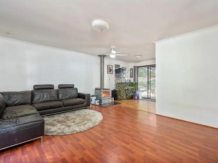 Seventh view of Homely house listing, 29 Forsythia Drive, Tamborine Mountain QLD 4272