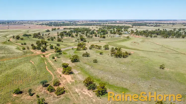 12094 Mitchell Highway "Kirribilli", Nevertire NSW 2826