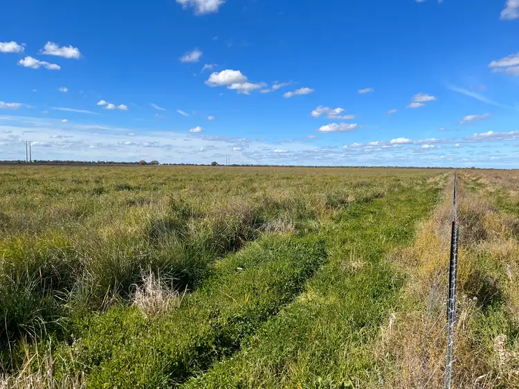 Fourth view of Homely rural property listing, 12094 Mitchell Highway "Kirribilli", Nevertire NSW 2826