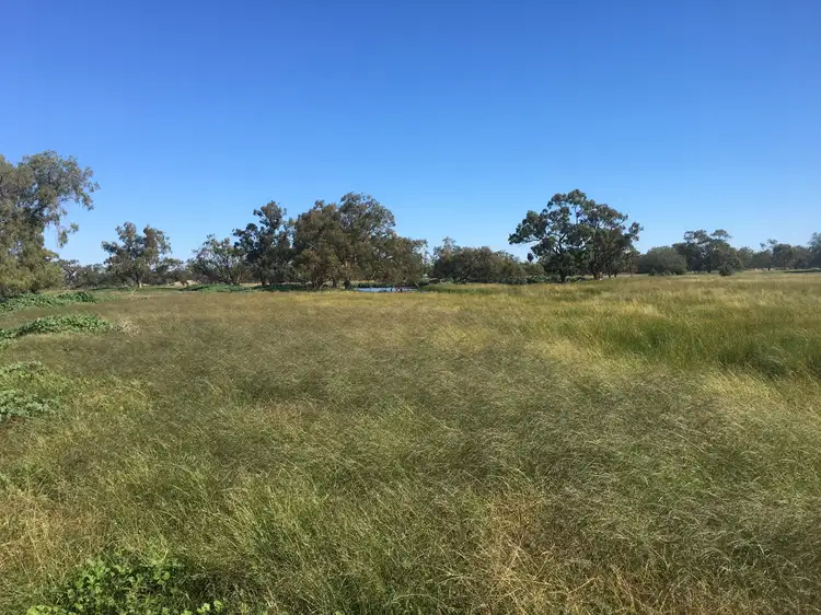 Fifth view of Homely rural property listing, 12094 Mitchell Highway "Kirribilli", Nevertire NSW 2826