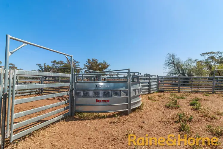 Sixth view of Homely rural property listing, 12094 Mitchell Highway "Kirribilli", Nevertire NSW 2826