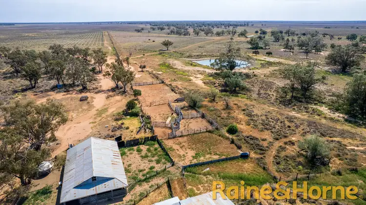 Seventh view of Homely rural property listing, 12094 Mitchell Highway "Kirribilli", Nevertire NSW 2826