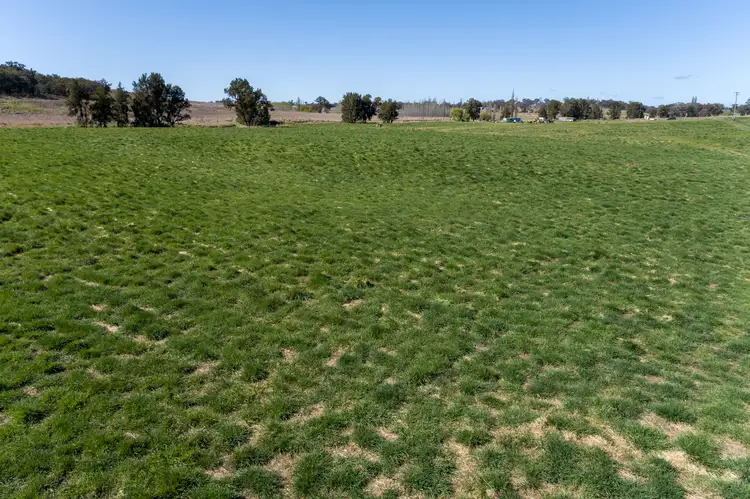 Fifth view of Homely rural property listing, 3972 Mitchell Highway, Molong NSW 2866