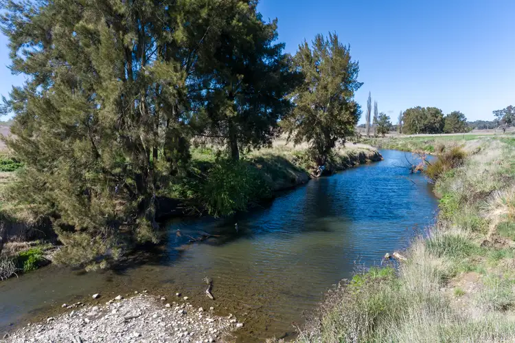 Seventh view of Homely rural property listing, 3972 Mitchell Highway, Molong NSW 2866