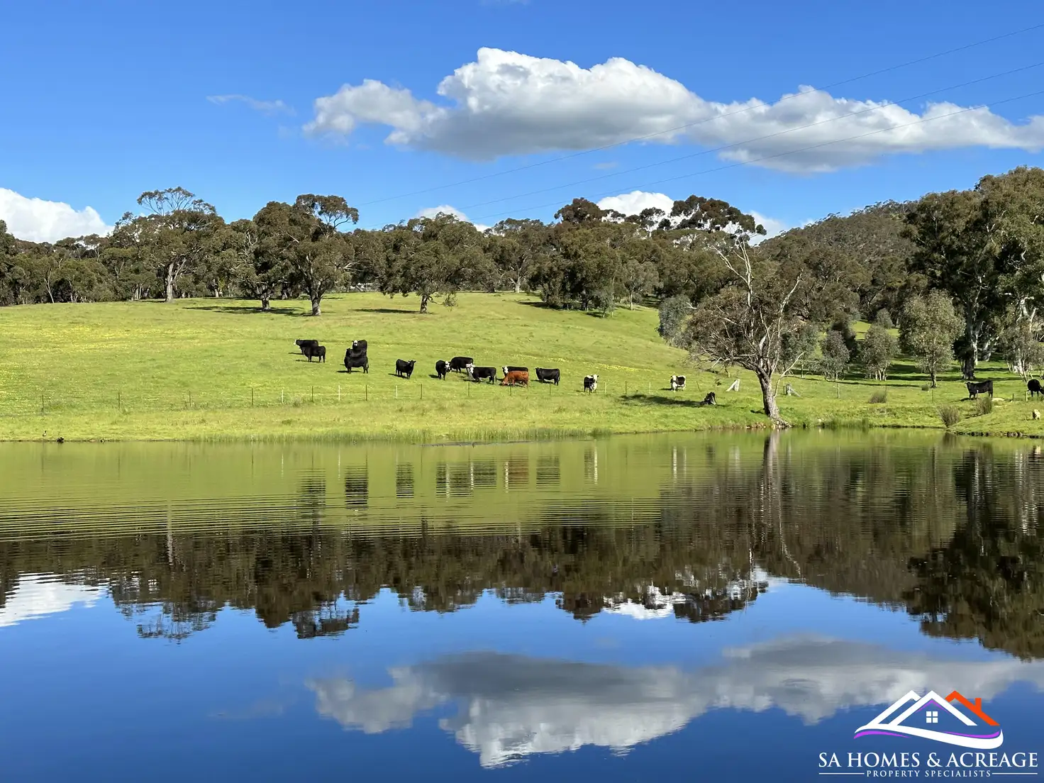 Main view of Homely rural property listing, 16 Hill Road, Kersbrook SA 5231