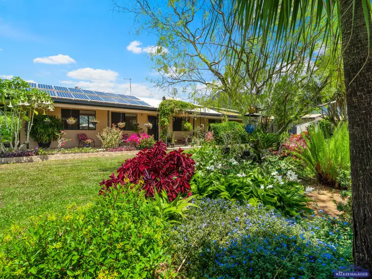 Second view of Homely house listing, 25 Alberta Drive, Woree QLD 4868