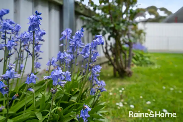 Fifth view of Homely house listing, 9 Henry Street, Orford TAS 7190