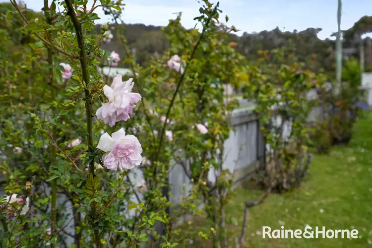Sixth view of Homely house listing, 9 Henry Street, Orford TAS 7190