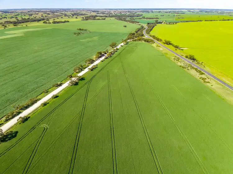 S63, S64 & S65/18 Pascoe Road, Coonalpyn SA 5265