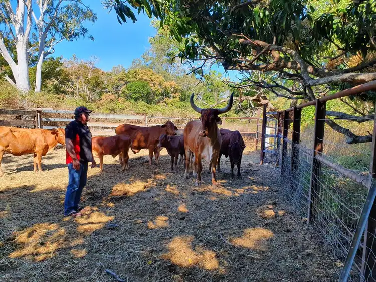 Fifth view of Homely house listing, 78 Plantation Road, Rollingstone QLD 4816