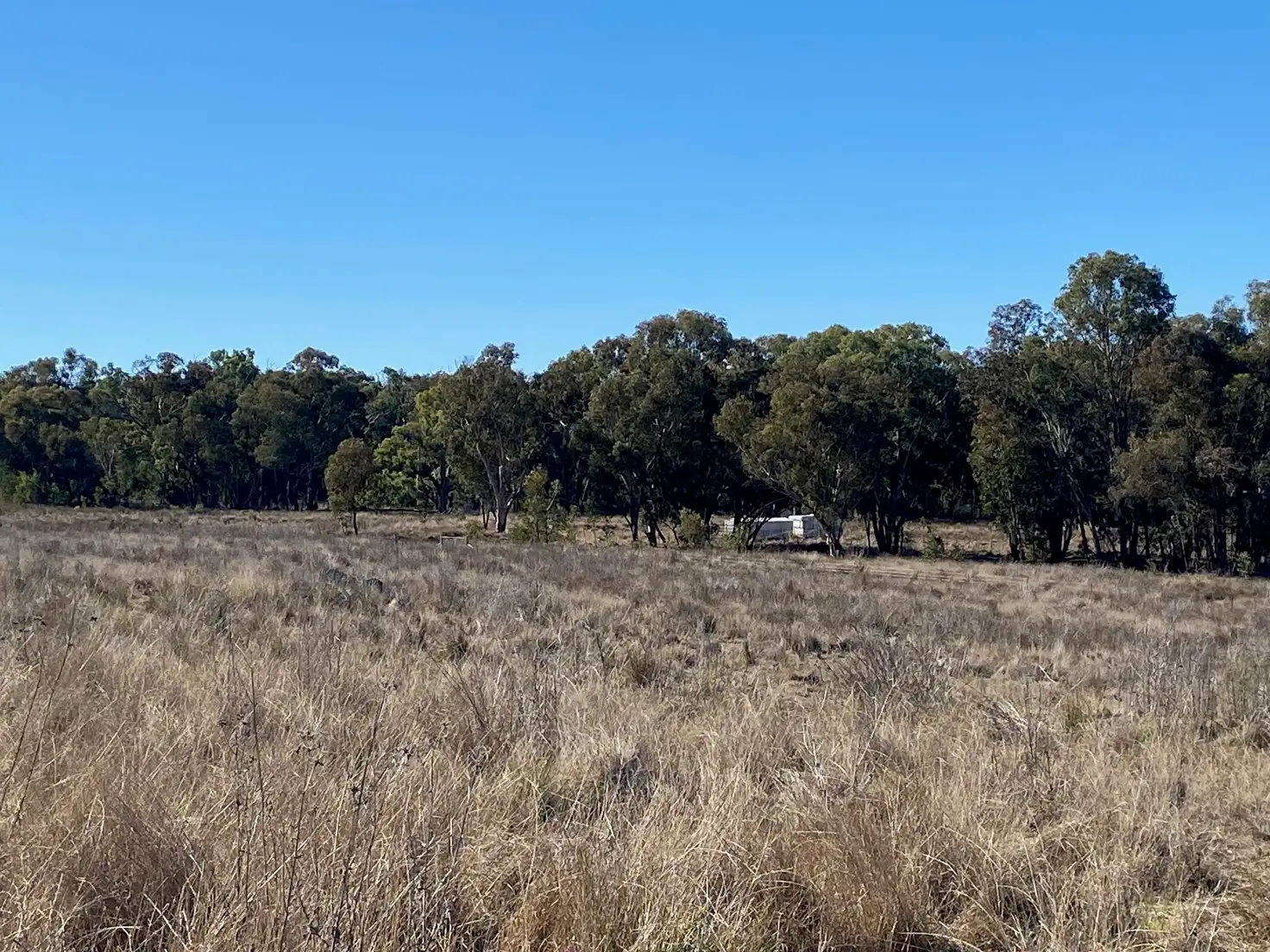 Main view of Homely rural property listing, 129 Newell Highway, Coonabarabran NSW 2357