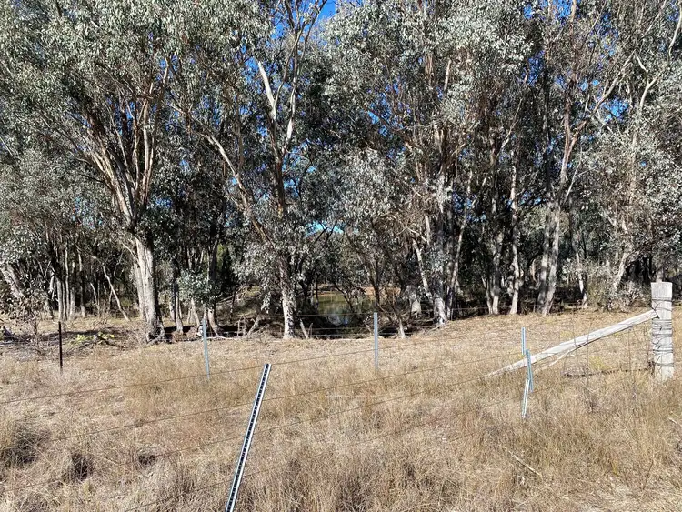 Third view of Homely rural property listing, 129 Newell Highway, Coonabarabran NSW 2357