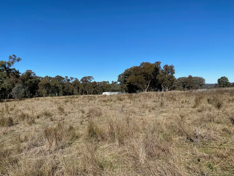 Fourth view of Homely rural property listing, 129 Newell Highway, Coonabarabran NSW 2357