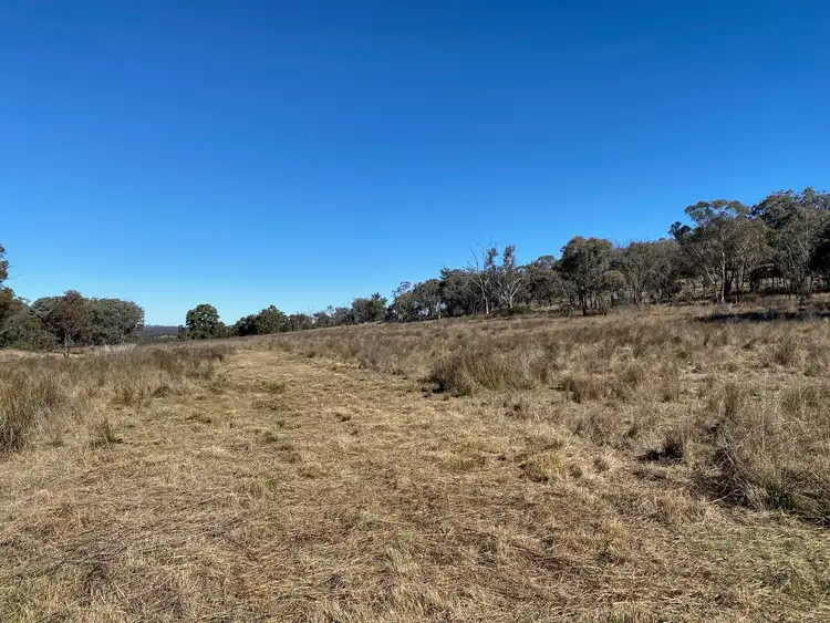 Fifth view of Homely rural property listing, 129 Newell Highway, Coonabarabran NSW 2357
