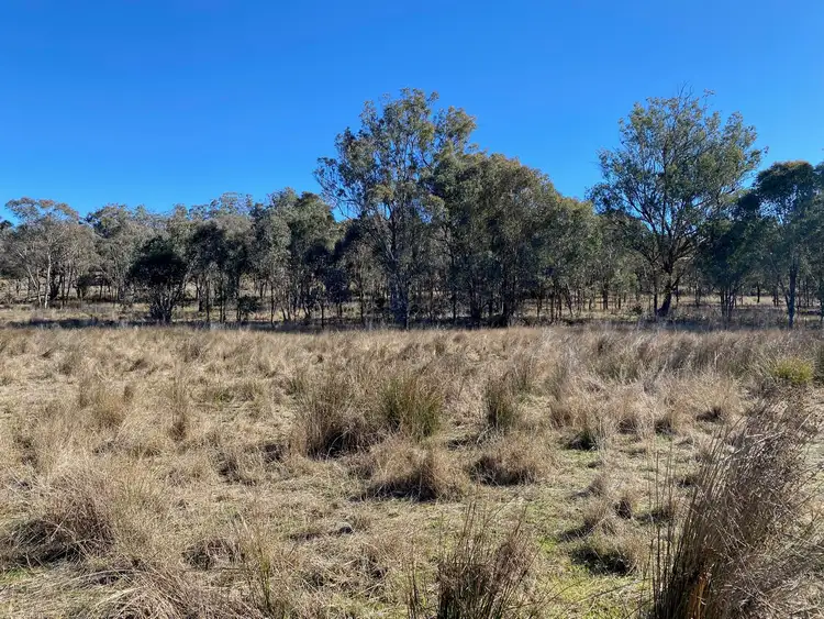 Sixth view of Homely rural property listing, 129 Newell Highway, Coonabarabran NSW 2357