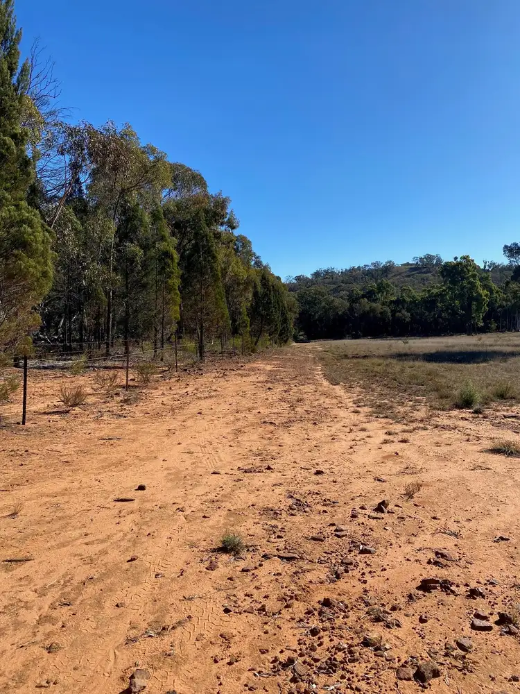 Seventh view of Homely rural property listing, 129 Newell Highway, Coonabarabran NSW 2357