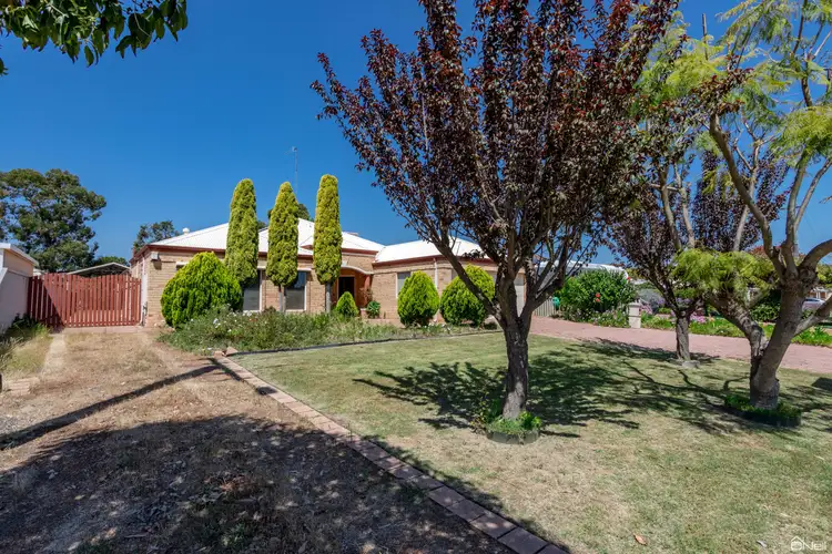 Second view of Homely house listing, 27 Hampton Road, Pinjarra WA 6208