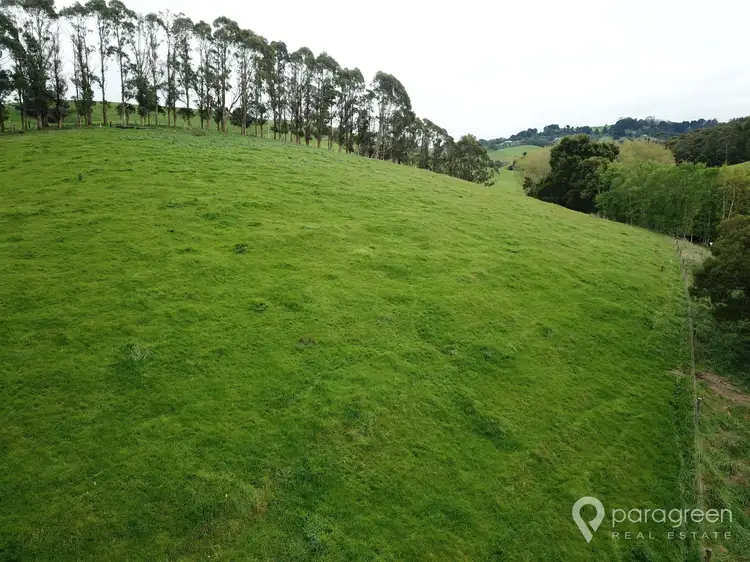 Fourth view of Homely land listing, 140 Franklin River Road, Toora VIC 3962