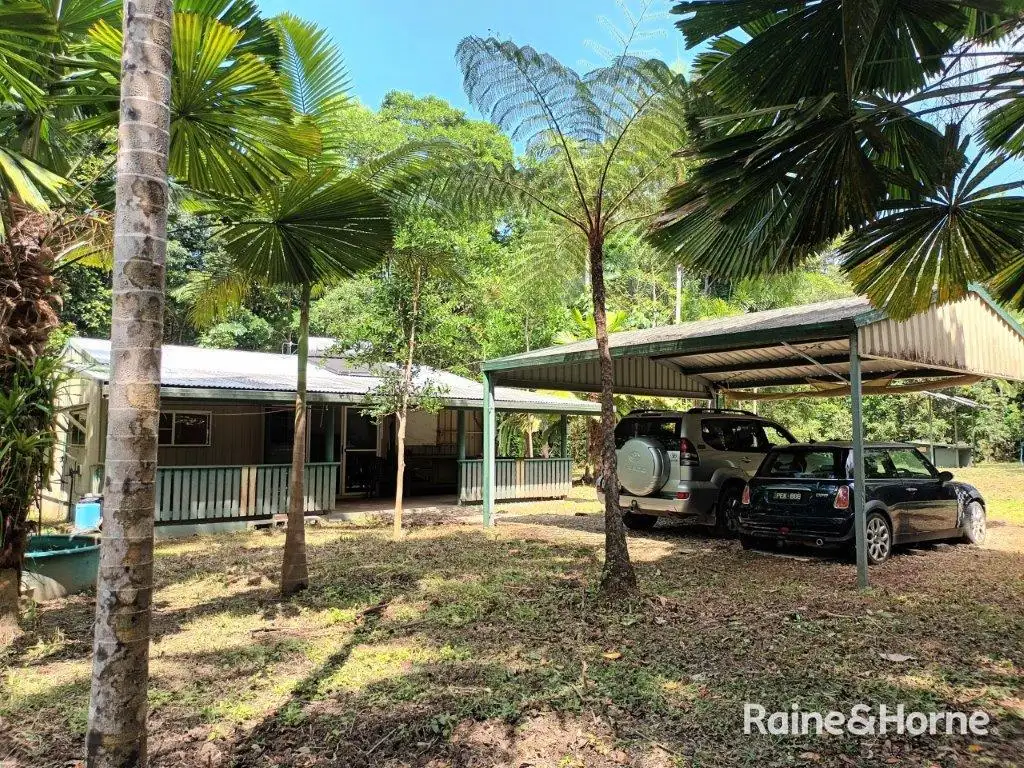 Main view of Homely house listing, 25 Ronald Road, Forest Creek, Daintree QLD 4873