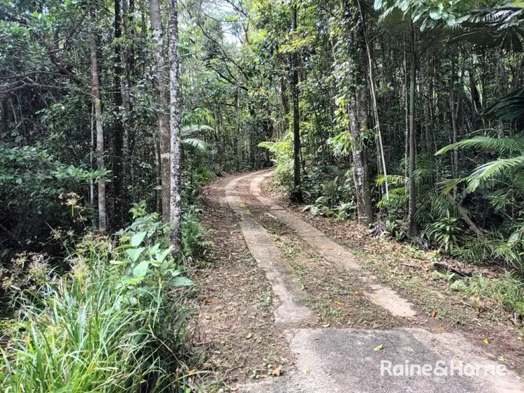 Third view of Homely house listing, 25 Ronald Road, Forest Creek, Daintree QLD 4873