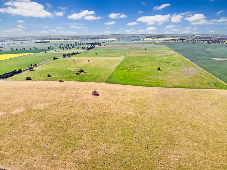 71 Hamptons Lane, Grenfell NSW 2810