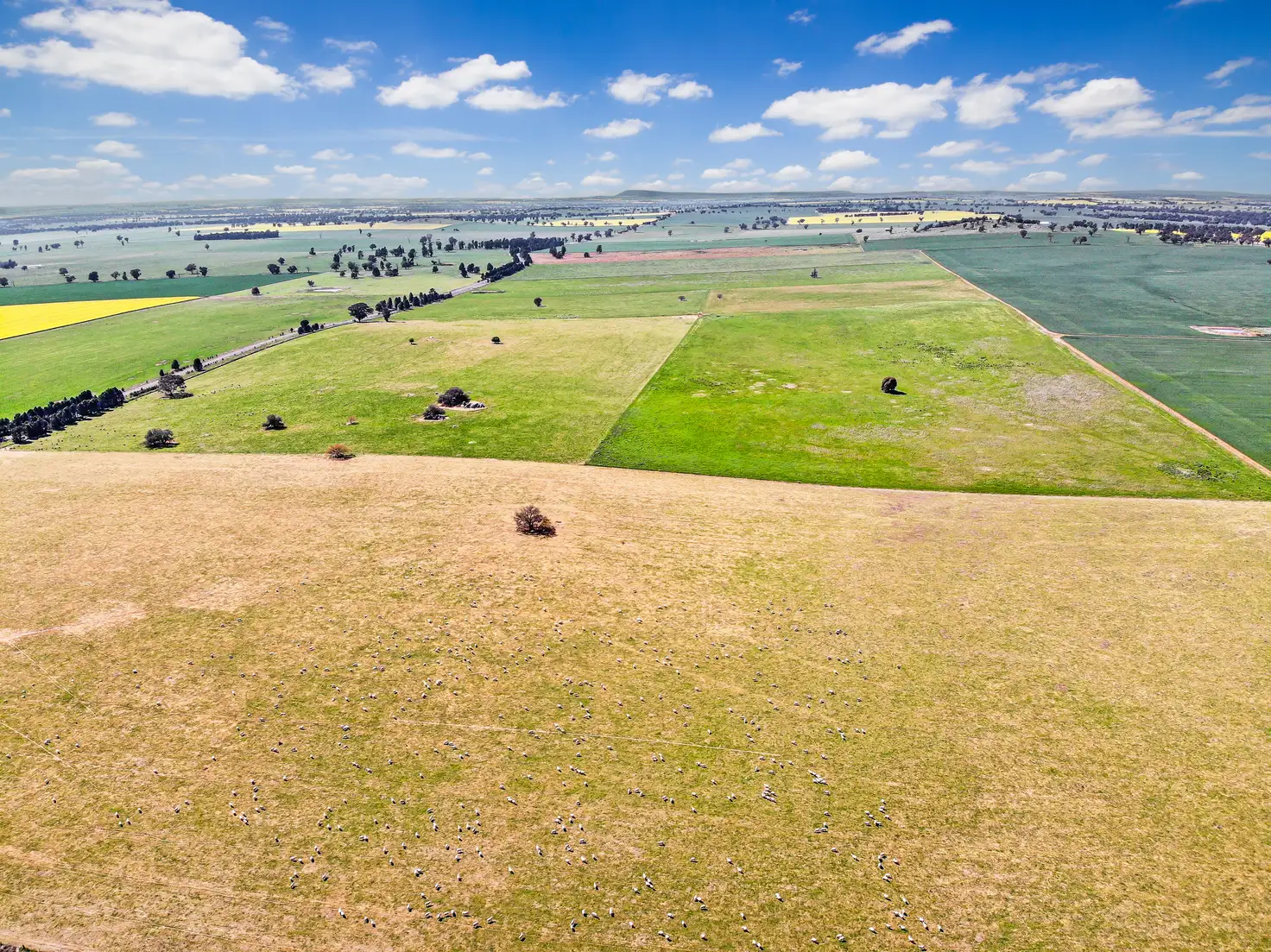 Main view of Homely rural property listing, 71 Hamptons Lane, Grenfell NSW 2810