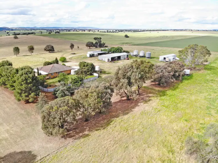 Second view of Homely rural property listing, 71 Hamptons Lane, Grenfell NSW 2810