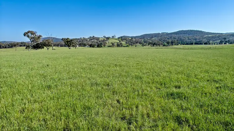 Fifth view of Homely rural property listing, "McKinnon Park" 593 Belgravia Road, Orange NSW 2800