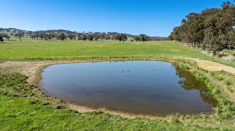 Seventh view of Homely rural property listing, "McKinnon Park" 593 Belgravia Road, Orange NSW 2800