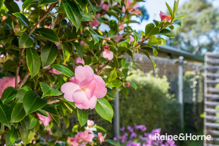 Sixth view of Homely house listing, 80 Tasman Highway, Orford TAS 7190