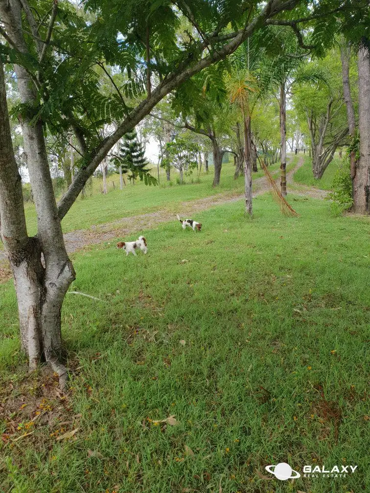 Main view of Homely rural property listing, 202 Smokers Gully Road, Mount Perry QLD 4671