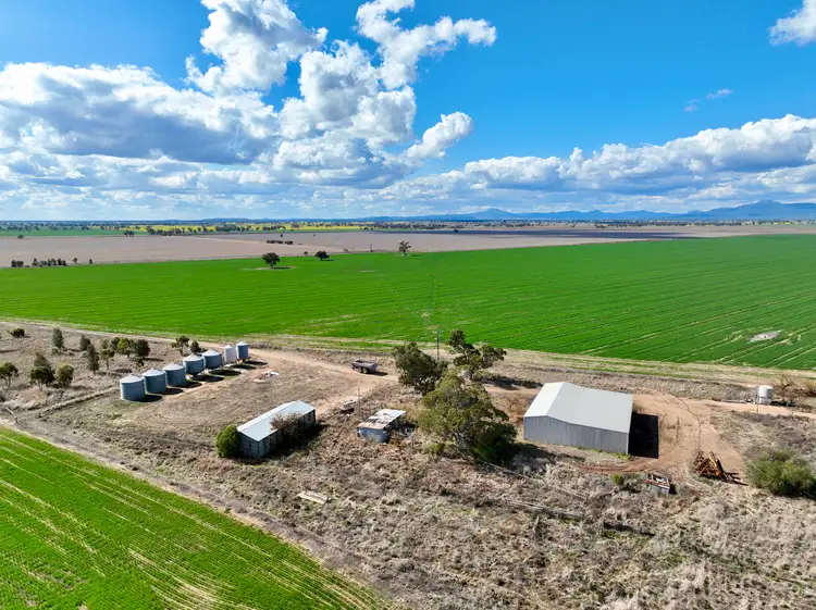 Sixth view of Homely rural property listing, "Collareen" 874 Cordale Road, Gulargambone NSW 2828