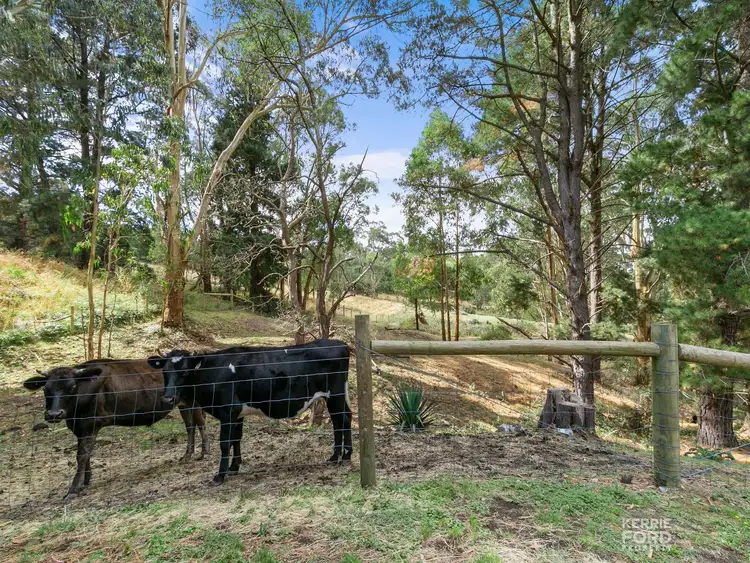 Third view of Homely rural property listing, 340 Tyers-Walhalla Road, Tyers VIC 3844