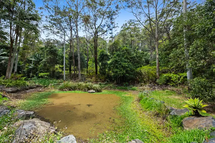 Fourth view of Homely land listing, 905J Main Western Road, Tamborine Mountain QLD 4272