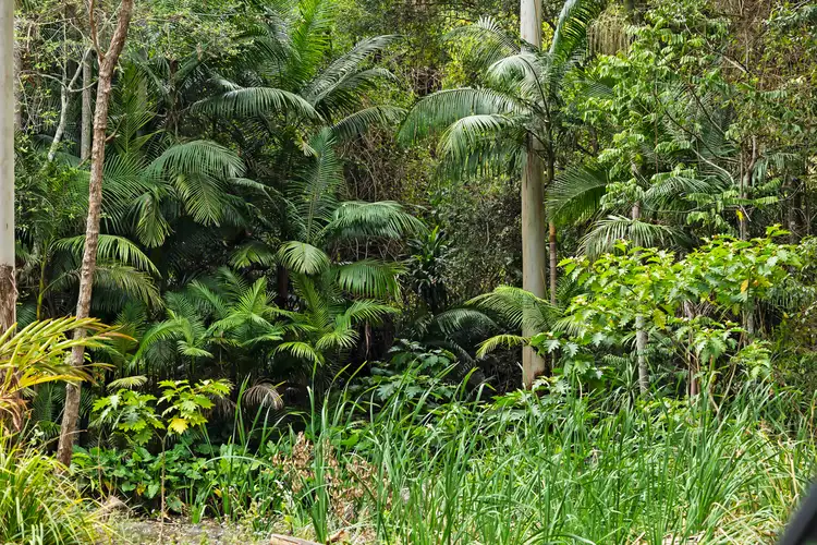 Sixth view of Homely land listing, 905J Main Western Road, Tamborine Mountain QLD 4272