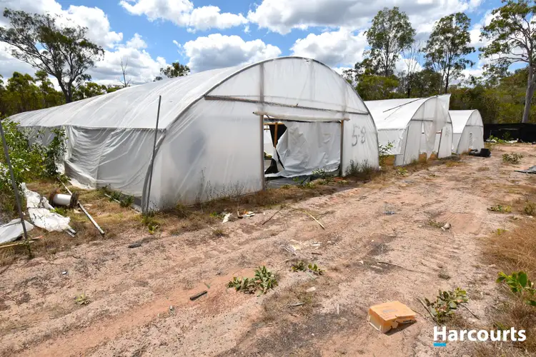 Fifth view of Homely rural property listing, 30428 Bruce Highway, Isis Central QLD 4660