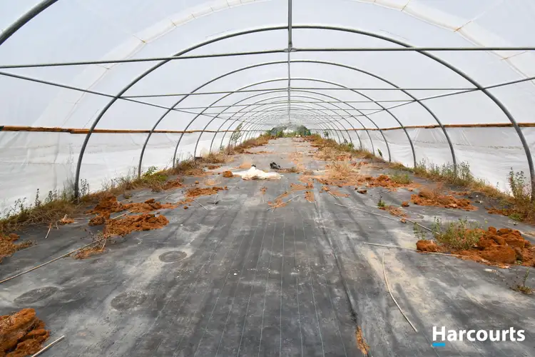 Sixth view of Homely rural property listing, 30428 Bruce Highway, Isis Central QLD 4660